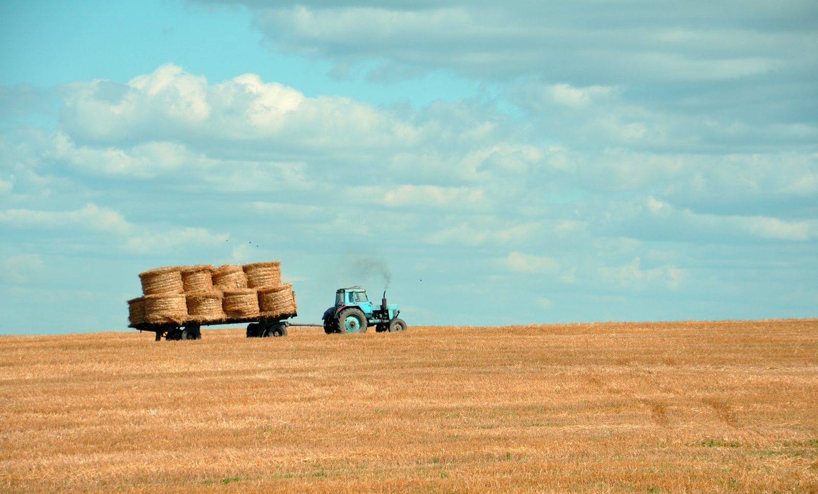 Agricultural operation with tracked equipment and bins